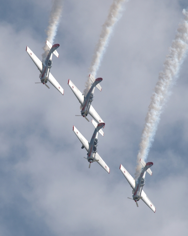 YAKOVLEV YAK 50 YAK 52 YAKOLEVS P1019086(1).jpg