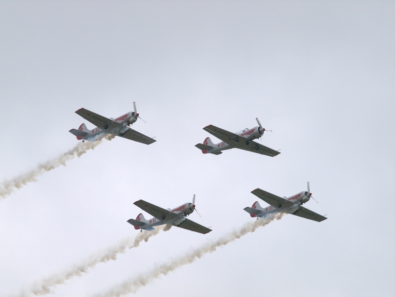 YAKOVLEV YAK 50 YAK 52 YAKOVLEVS P6212431(1).jpg