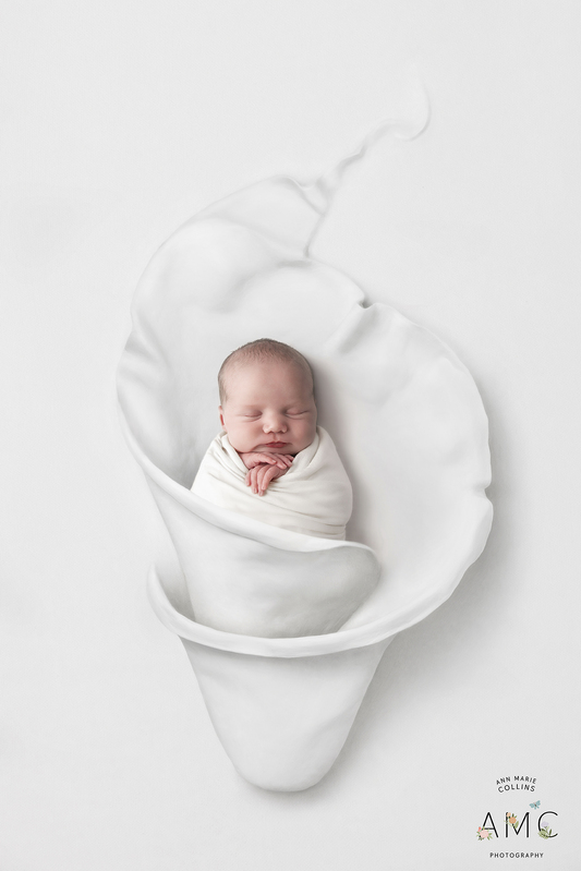  Lily Digital b(1).jpg