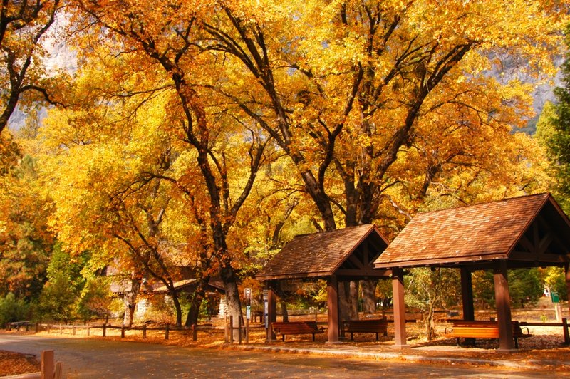 2007.10.16 Yosemite NP051.ifp3.jpg