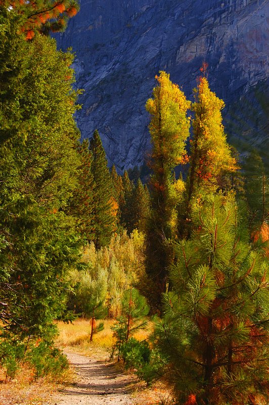 2007.ifp3.10.16 Yosemite NP268b.jpg