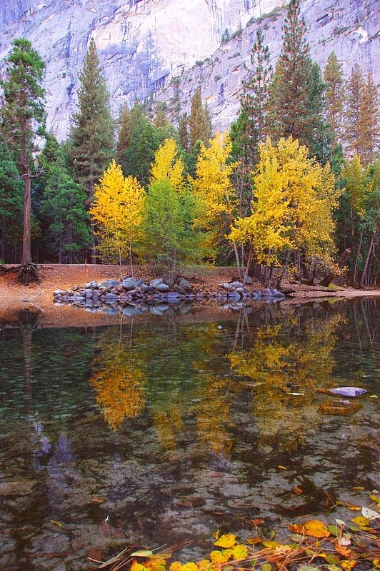 2007.ifp3.10.16 Yosemite NP322b.jpg