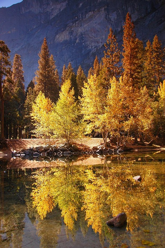 2007.ifp3.10.16 Yosemite NP429b.jpg