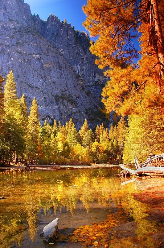 2007.ifp3.10.16 Yosemite NP438c.jpg