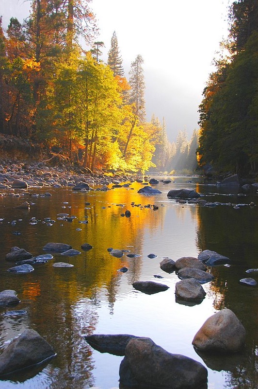 2007.ifp3.10.16 Yosemite NP775b.jpg