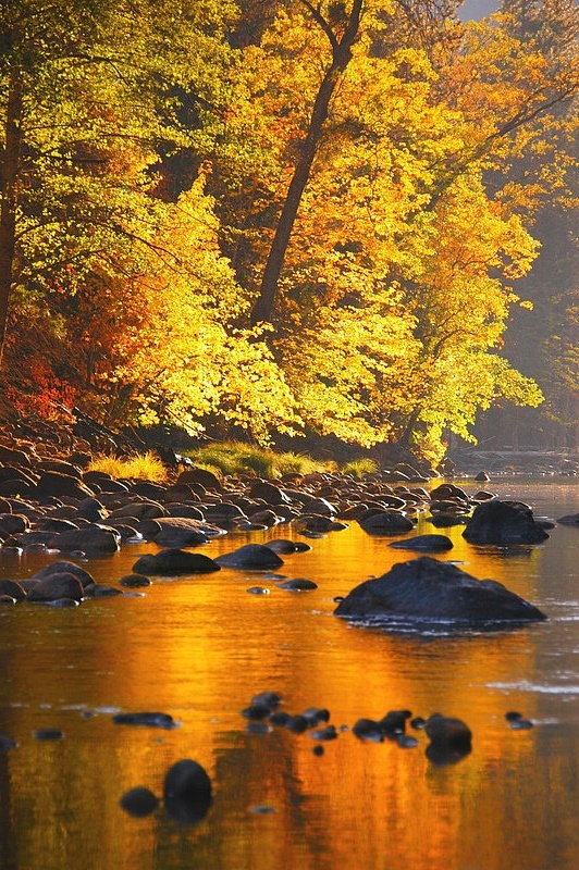 2007.ifp3.10.16 Yosemite NP784b.jpg