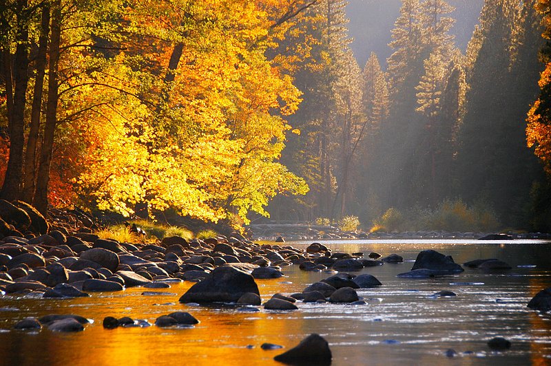 2007.ifp3.10.16 Yosemite NP787b.jpg