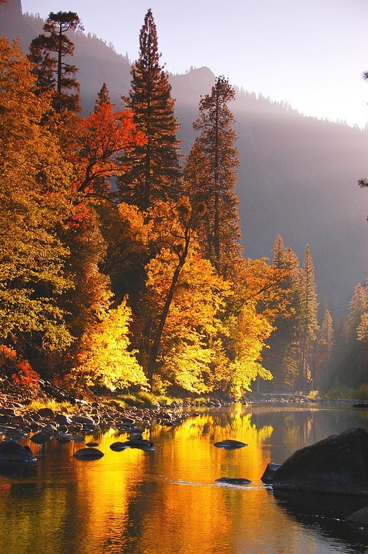 2007.ifp3.10.16 Yosemite NP799b.jpg