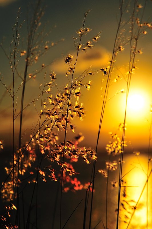 2008.11.26.Peurto Rico.206.ifp3.jpg