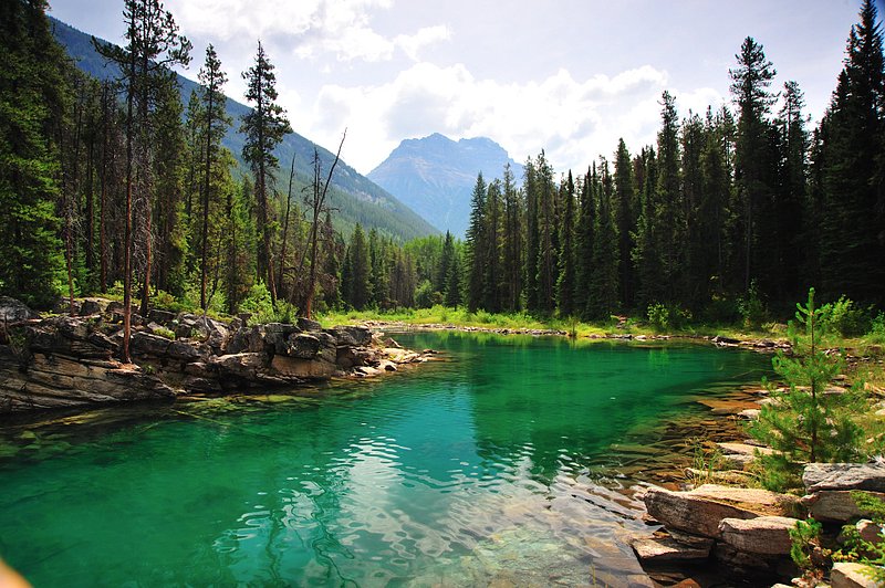 20090726Jasper559_ifp3.jpg :: Horseshoe Lake