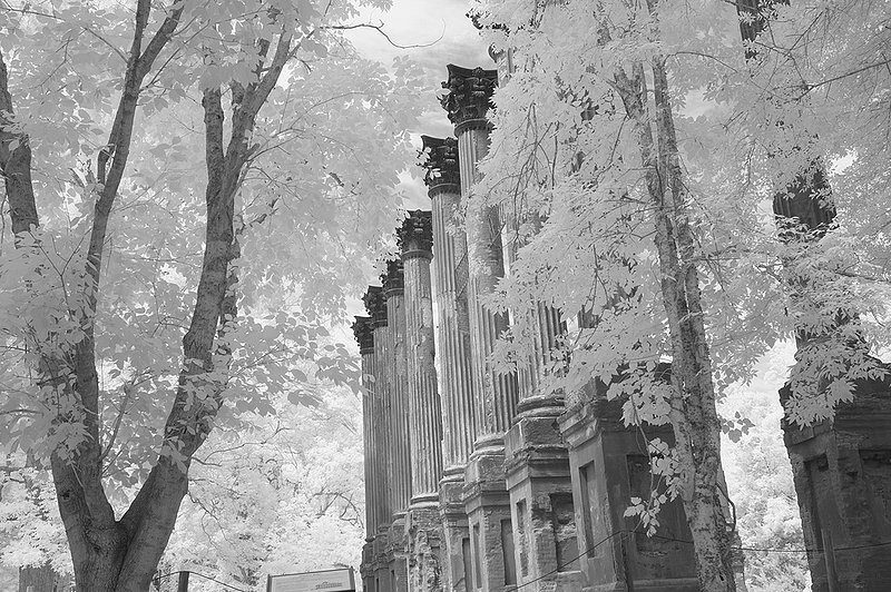 20110521WinsorRuin44aBWs.jpg ::                                 