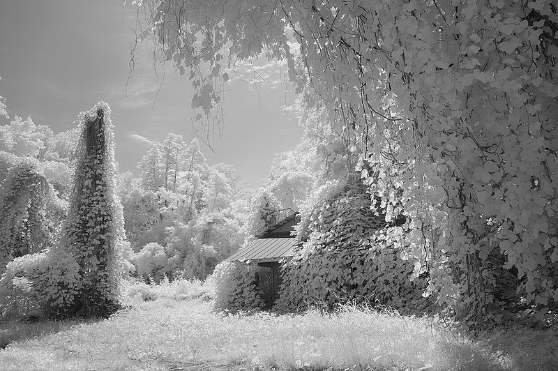 20110521WinsorRuin63BWs.jpg ::                            Martian's Hut     