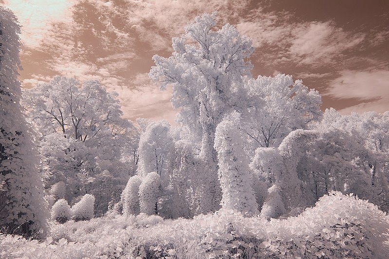 20110521WinsorRuin70s.jpg ::                        Winter in July         