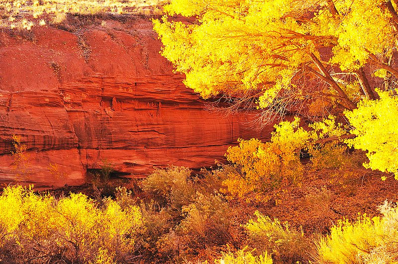 20121024Utah0085A ifp3.jpg