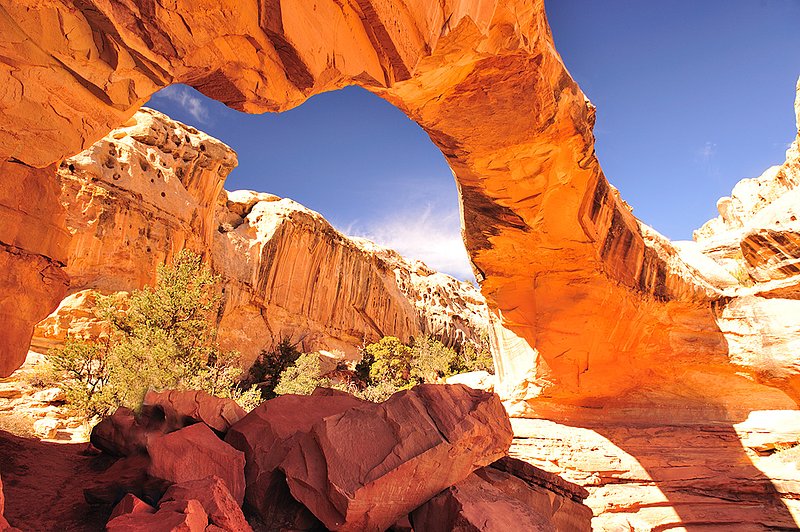 20121024Utah0598 Modified ifp3.jpg