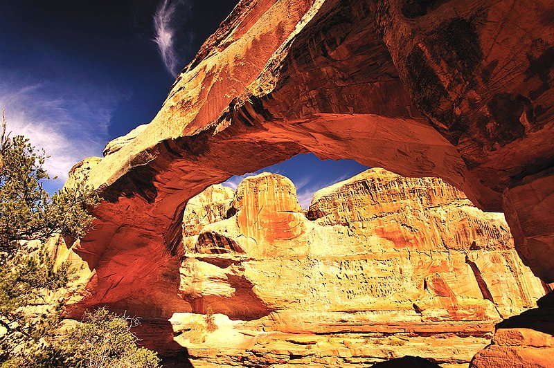 20121024Utah0604A ifp3.jpg