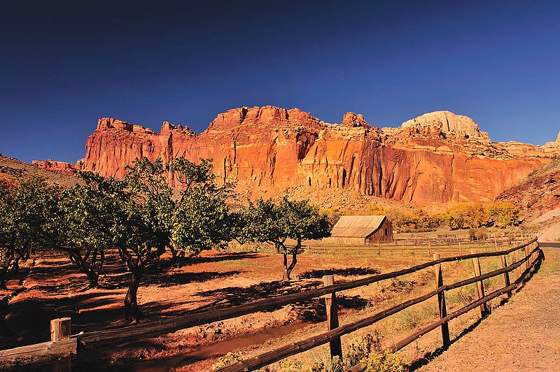 20121024Utah0629a ifp3.jpg