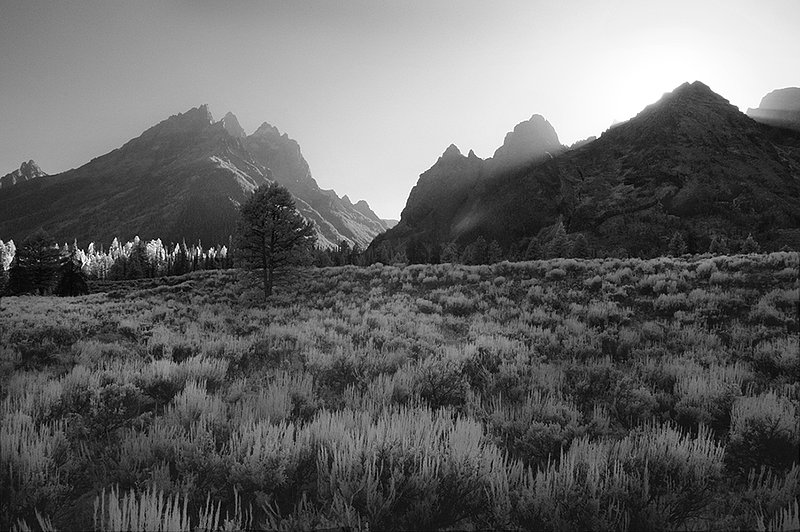 201307MontanaIR-100a ifp3.jpg