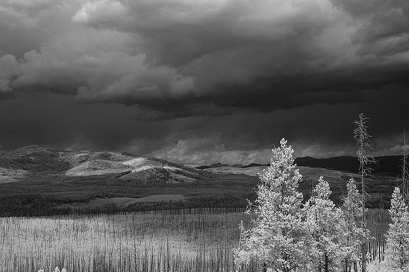 201307MontanaIR-15 ifp3.jpg