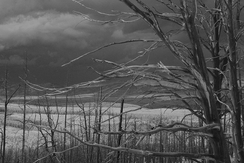 201307MontanaIR-28a cropped ifp3.jpg