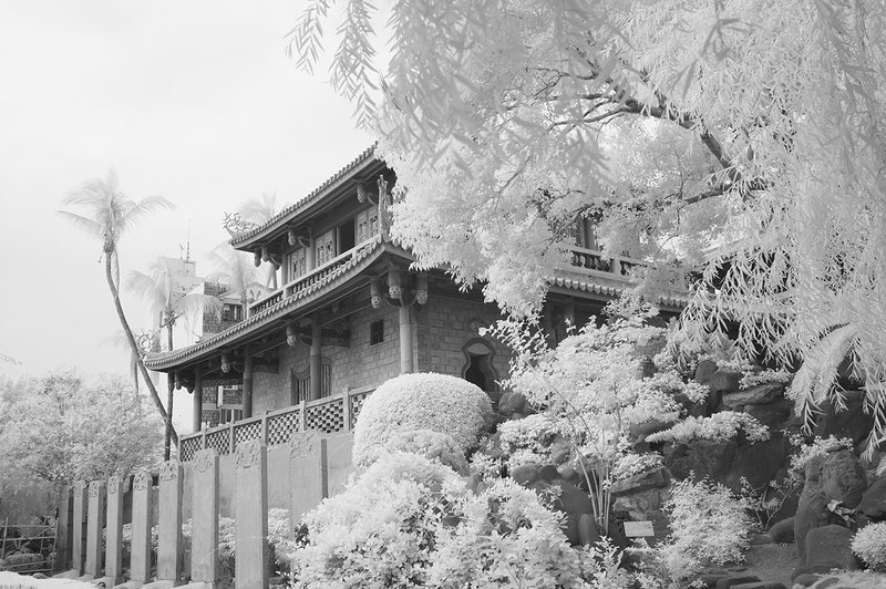 DSC_7899 ifp3.jpg ::                                 