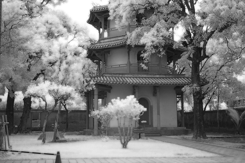 DSC_7908 ipf3.jpg ::                                 