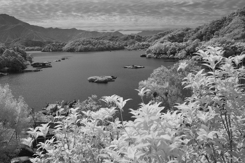 DSC_7934 ifp3.jpg ::                                 