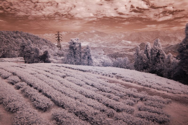 DSC_7948 ifp3.jpg ::                                 