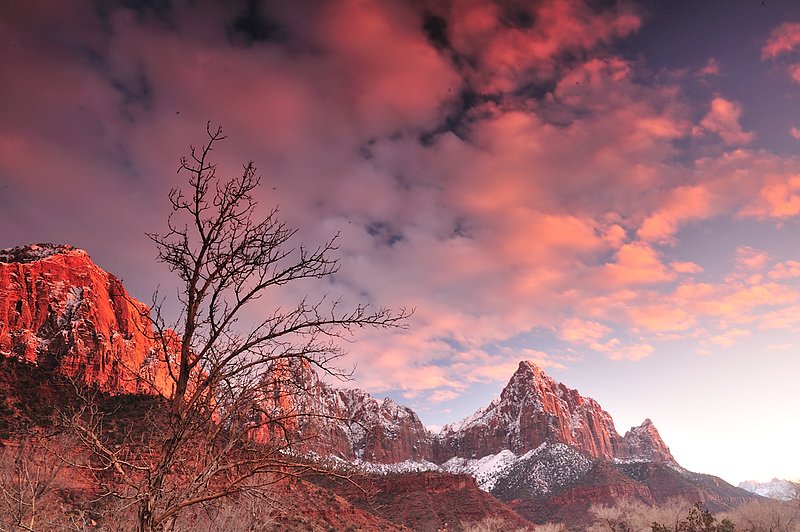 Zion NP 4.jpg