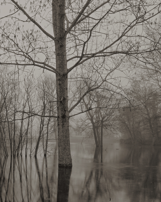 All Mimsy Were the Borogoves 1_25.jpg :: Archival pigment print on A3 hand-made Japanese paper (Bizan by Awagami Mills), signed and numbered 1/25, image size 10\