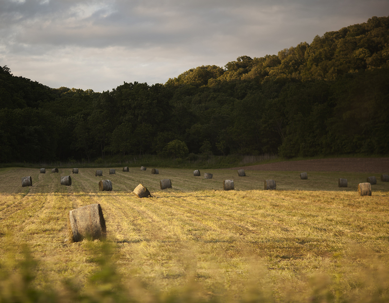 Baleful Landscape.jpg