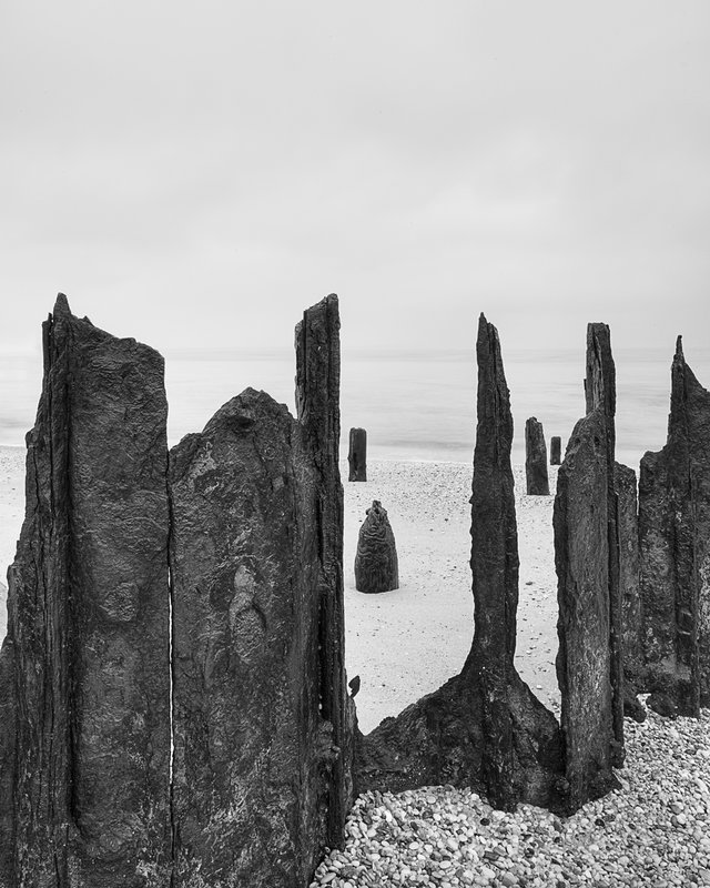 Bay Wraiths.jpg :: Signature Artists Exhibition, October 2010-November 2010 
The Noyes Museum of Art 
Oceanville, NJ

