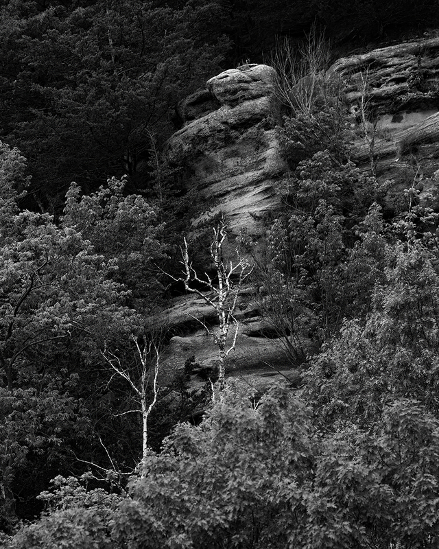 Birch Bluff.jpg
