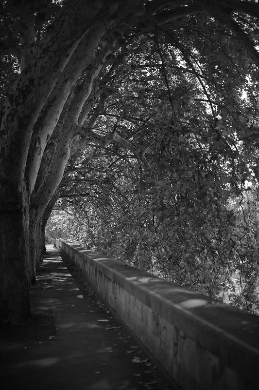 By the Tiber.jpg