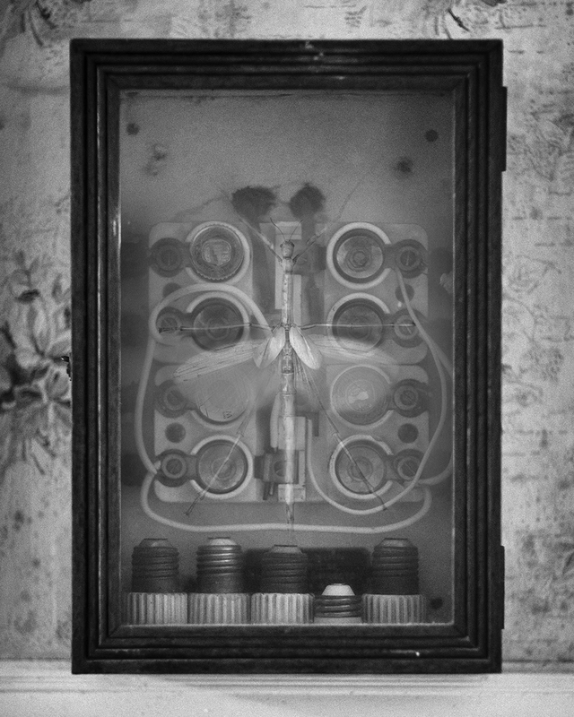 Cabinet of Curiosities II.jpg