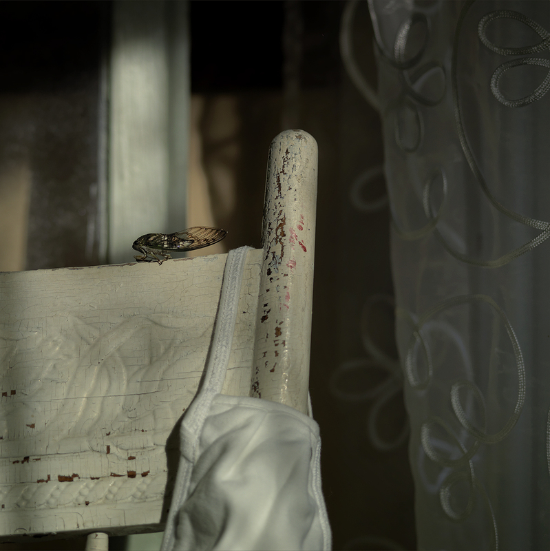 Cicadian Rhythm (Still Life with Face Mask)(1).jpg