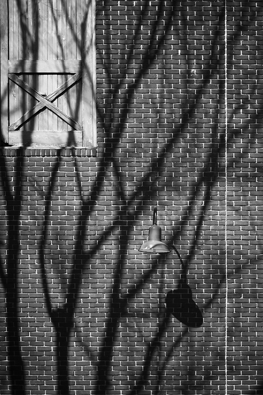 Corona Days (Fall On Their Knees).jpg