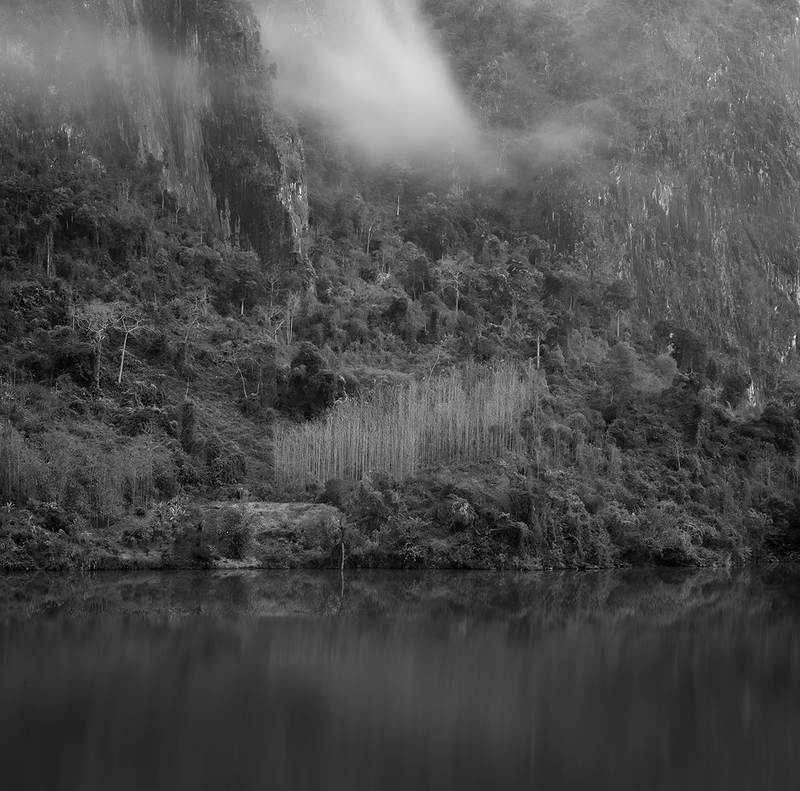 Denuded Teak Copse.jpg