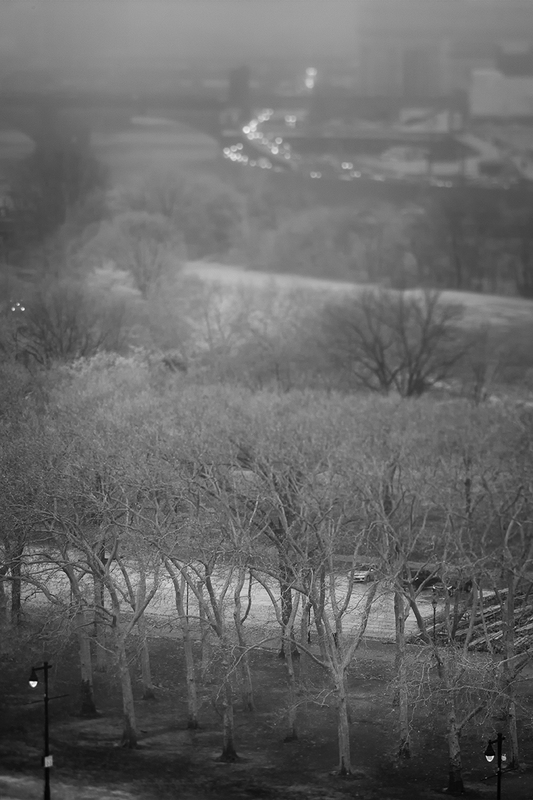 Epping Forest.jpg