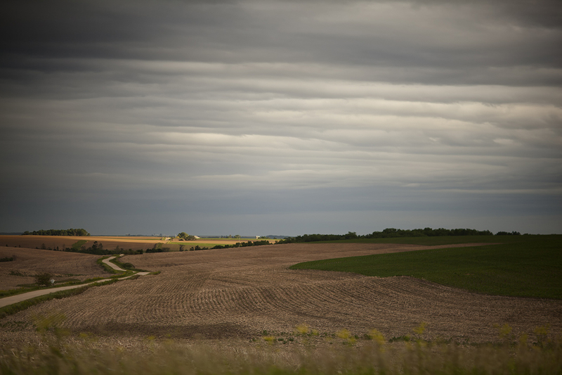 Farmland II.jpg