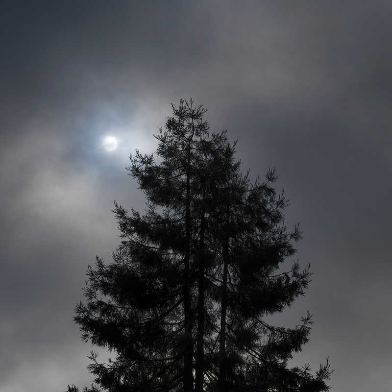 Fog and Orb.jpg