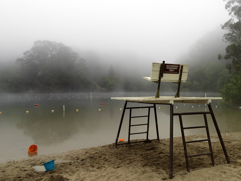 Free Swim.jpg