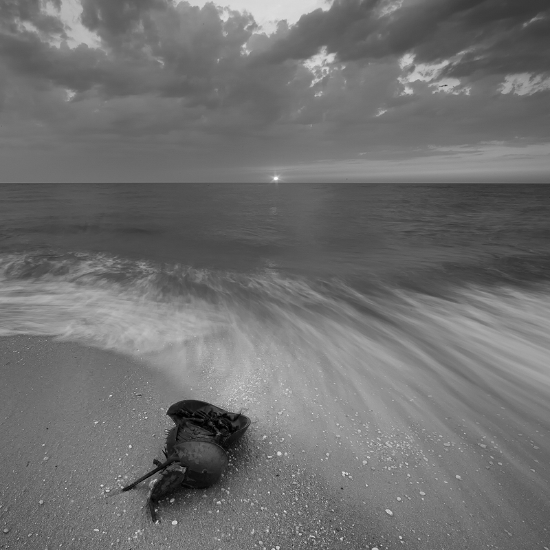 From Here to Eternity Redux.jpg