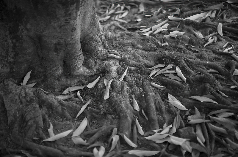 Gravity (Wat Pak Khan Khammungkhun)(1).jpg