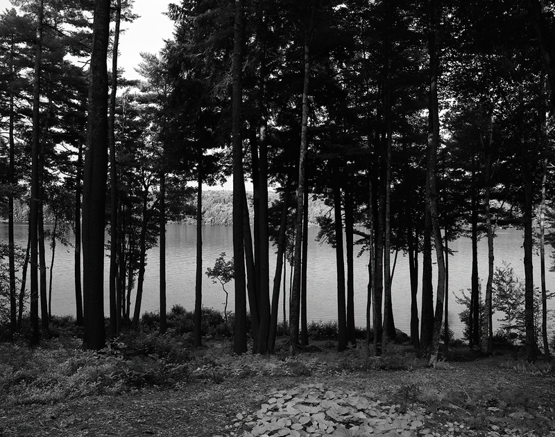 Groomed Landscape.jpg