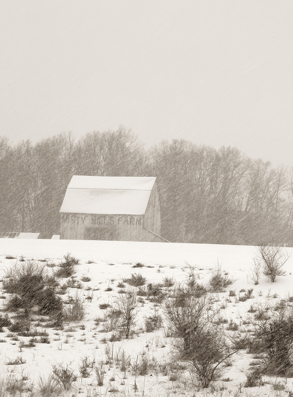 Misty Hills Farm.jpg