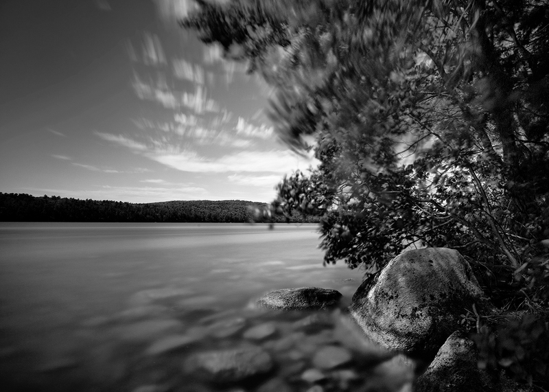 Mulberry and Lake Stones Study(1).jpg
