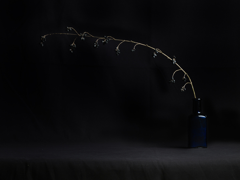 Nature Morte.jpg