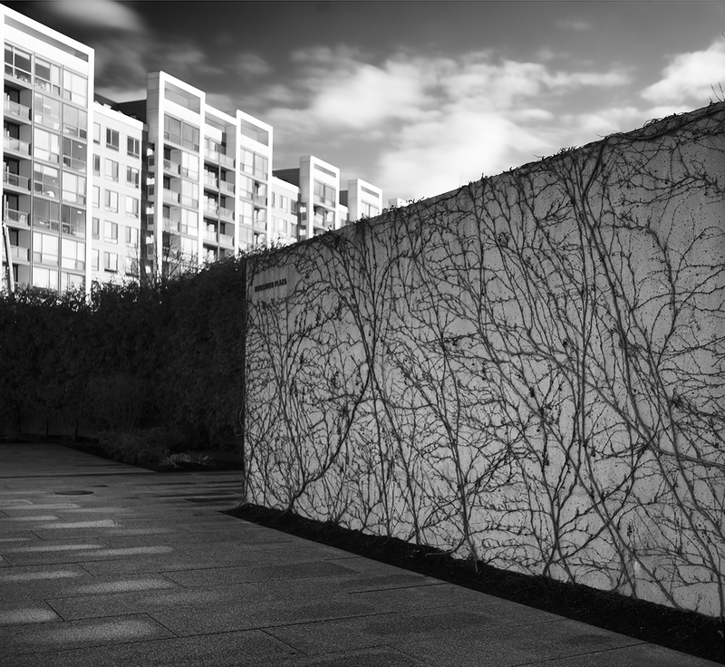 Neubauer Plaza.jpg