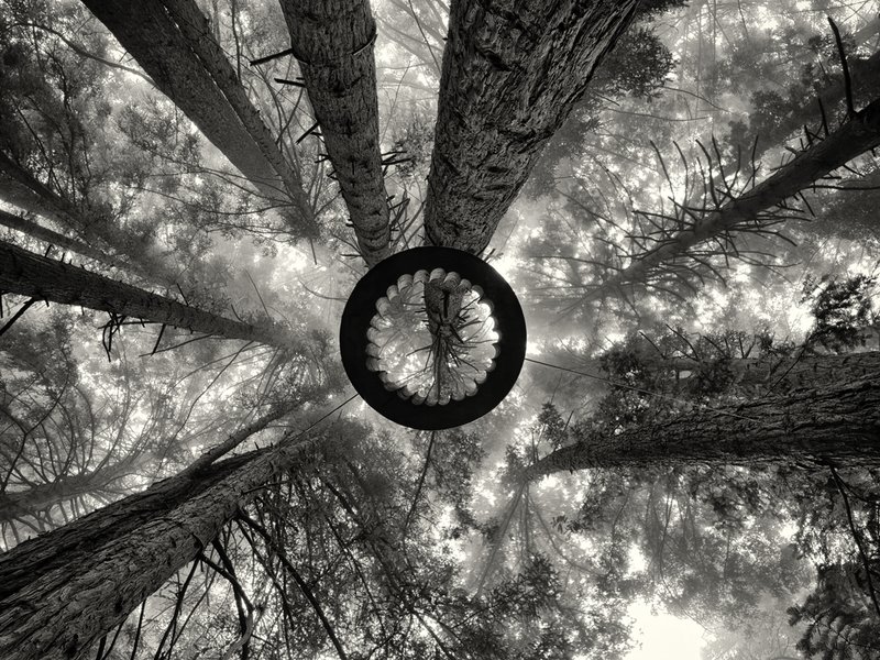Revealing the Landscape 2.jpg :: \